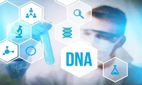 长春哪个医院能做DNA亲子鉴定呢,长春医院做DNA亲子鉴定基本流程