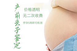 长春怀孕如何办理亲子鉴定，长春办理孕期亲子鉴定办理方法